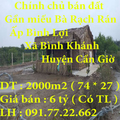 Chính chủ bán 2000m2 đất ,gần miếu Bà Rạch Rán, Ấp Bình Lợi,Huyện Cần Giờ,TPHCM